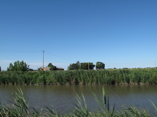 paesaggio estivo agricolo