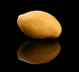 One mango on black