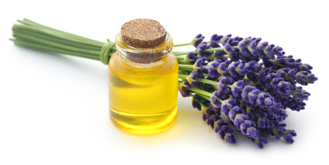 Lavender oil with flower