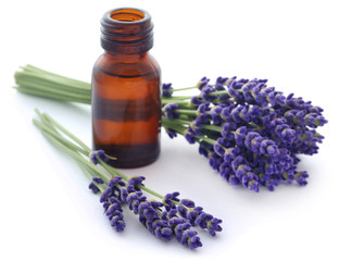 Obraz na płótnie Canvas Lavender oil with flower
