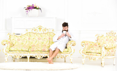 Elite leisure concept. Man with beard and mustache enjoys morning while sitting on luxury sofa. Man on sleepy face in bathrobe, drinks coffee, in luxury hotel in morning, white background.