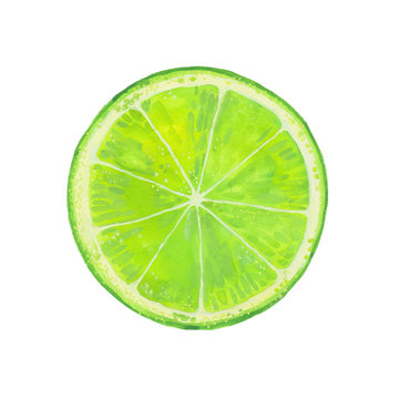  watercolor  lime slice