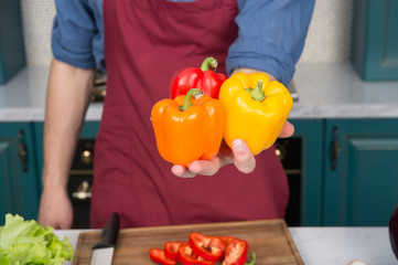 Diversity ingredients. Peak season purchasing ensure your vegetables more flavorful. Seasonal vegetables ingredients can take average dish to another level. Fresh peppers vegetables in hand of chef