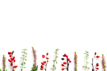 Background With Red Berries And Flowers