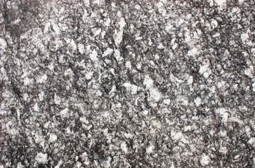Polished granite slab in gray and white shades