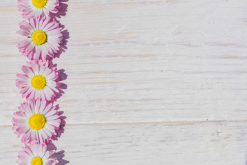 Obraz premium pink Daisy flowers on wooden table background with copy space