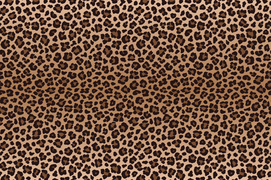 Dark brown leopard spotted fur texture. Vector