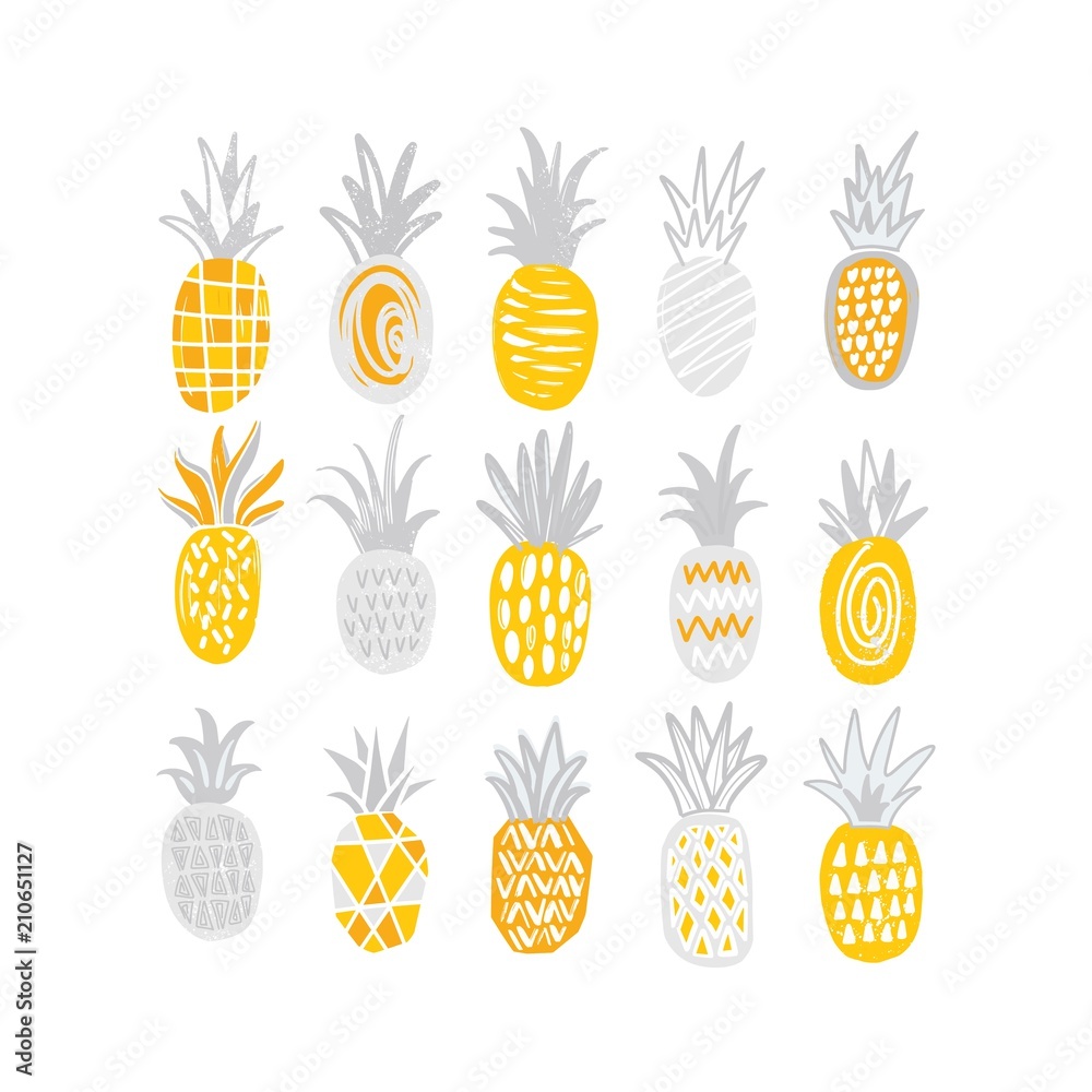 Poster collection of hand drawn pineapples of different texture isolated on white background. bundle of exo