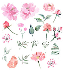 Watercolor clipart of pink and beige flowers and leaves of vintage style of tenderness on isolated...