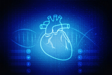 2d illustration  Anatomy of Human Heart 
