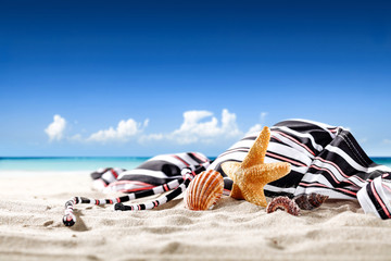 Summer shells on sand and free space for your decoration. 