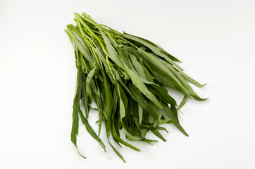 空心菜（クウシンサイ）