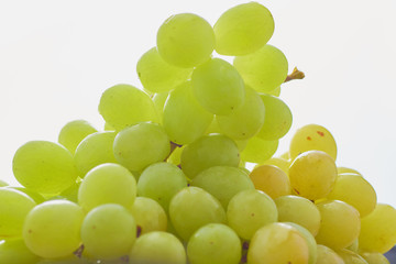 grapes on a light