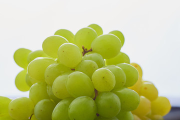 grapes on a light