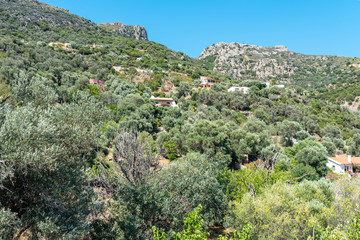 The mountain village Anidri approx 3 km remote from Paleochora, situated in south-west Crete