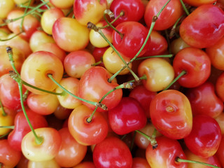  sweet cherries closeup