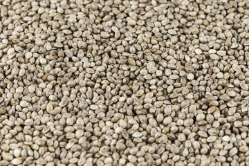 Hemp seeds are scattered as a background