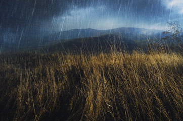 rainy weather landscape with storm clouds in the sky and grass in wind