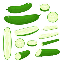 Bright vector collection of colorful different cucumber isolated on white - 210658545
