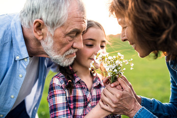 A small girl with her senior grandparents smelling flowers outside in nature.