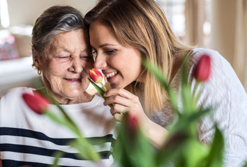 An elderly grandmother with an adult granddaughter at home, smelling flowers.