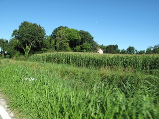 paesaggio agricolo di campagna