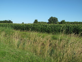 paesaggio agricolo di campagna