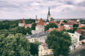 Obraz premium Old Tallinn - Estonia