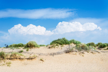 Fototapeta na wymiar Sandy Formby Beach near Liverpool on a sunny day