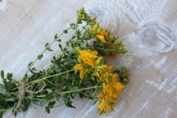 Yellow St. John's wort flowers