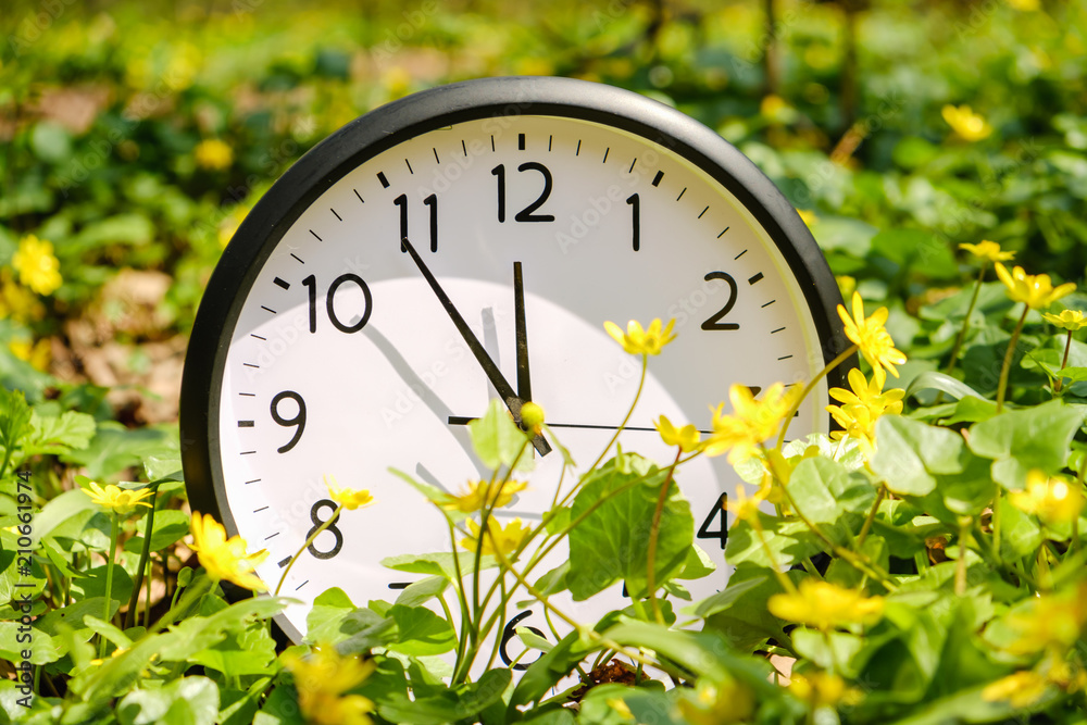 Wall mural clock on green grass, on nature background, deadline alarm concept