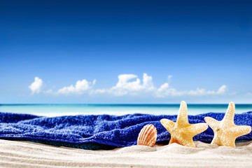summer shell and sea landscape 