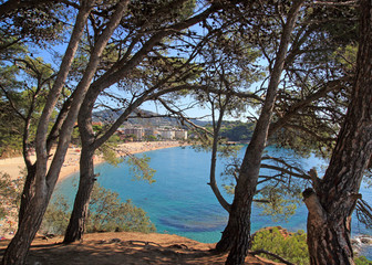 Sea and beach view through the trees. Rocks in water. Lloret de Mar, Costa Brava, Catalonia, Spain.