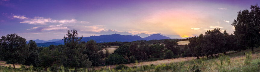 Beautiful Landscape in Spain during the Golden and Blue Hour with trees and flowers and clouds
