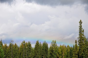 Rainbow above trees in Fairbanks, Alaska