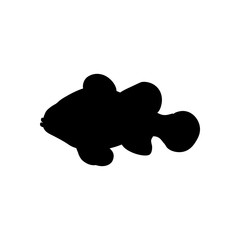 Clownfish silhouette illustration