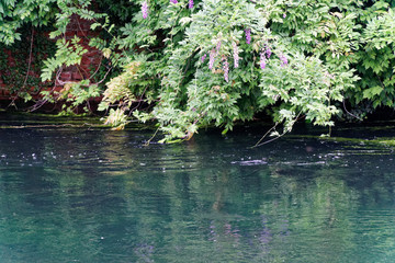 Old drainage channel for watering of fields in Italy