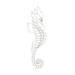 Sea horse coloring pages