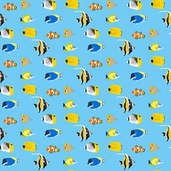 Tropic coral fish seamless pattern