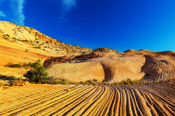 Naklejka premium Hike in Utah