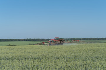 Naklejka premium Farmer spraying pesticides in green wheat field
