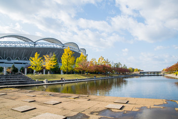 Autumn leaves, Niigata, Japan