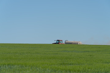 Fototapeta na wymiar Farmer spraying pesticides in green wheat field