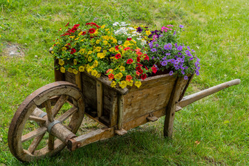 Alter Holz Schubkarren mit Blumen