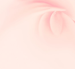 Obraz premium Soft pink floral background