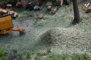 Mobile yellow wood and branches shredder in the city park
