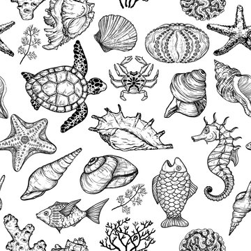 Seamless pattern with sketch of sea shells, fish, corals and turtle. Ocean life