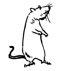 freehand sketch illustration of rat, mouse
