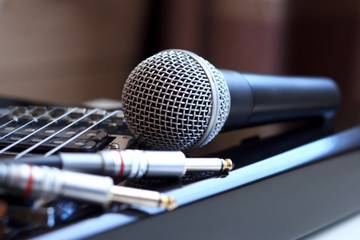 Microphone, audio cable and electric guitar