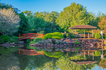 Japanese garden, Toowoomba 